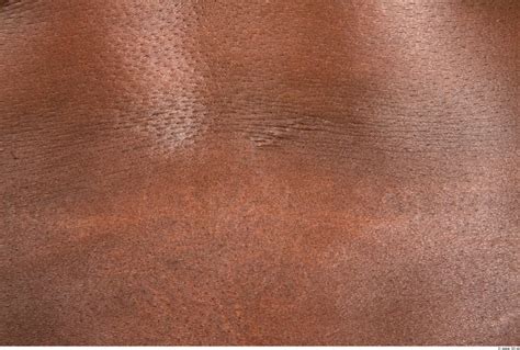High Resolution Textures Tileable Human Skin Texture 5