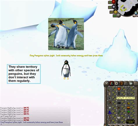 100 Laps With Penguin Facts Daily Until Agility Pet Day 92 R2007scape