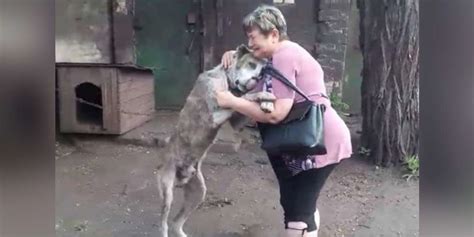 Lost Dog Is Reunited With Owner After Two Years Due To Story Going Viral