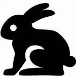 Rabbit Icon Animals Icons Windows Icons8 Rx