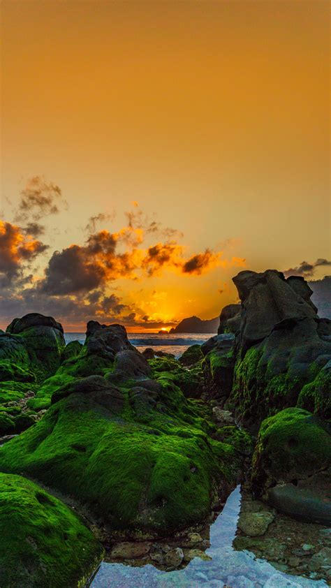 Download 1080x1920 wallpaper sunset, coast, beautiful rocks, moss ...