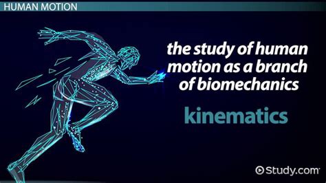 Kinematics Of Human Motion Lesson