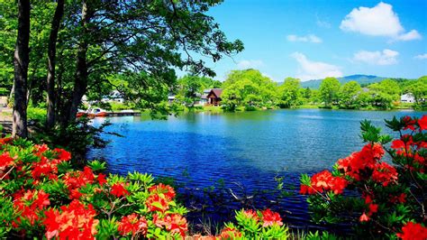 beautiful lake surrounded by trees plants flowers and house hd nature wallpapers hd wallpapers
