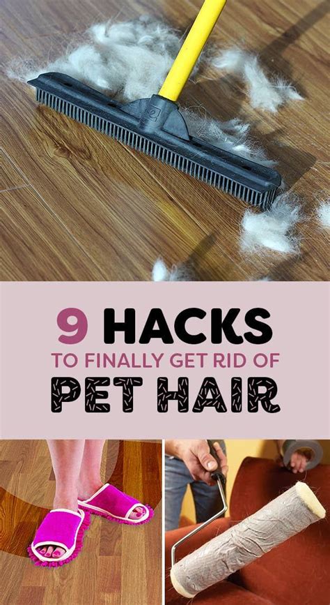 9 Life-Saving Hacks For Removing Pet Hair From Everywhere ...