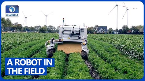 Meet Bonirob A Robot Who Helps Farmers To Destroy Weeds Youtube