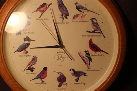 National Audubon Society Singing Bird Clock Plays Bird Song Etsy