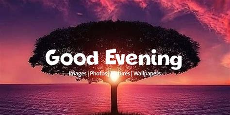 100 Beautiful Good Evening Images Photos And Pictures 2023