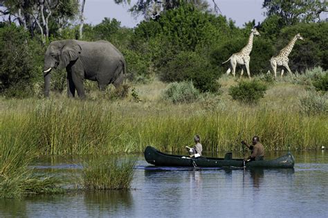 Savuti Camp Botswana Safaris Camps And Lodges