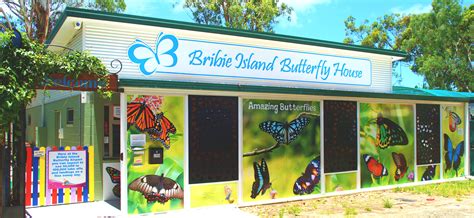 Bribie Butterfly House Sandstone Point Holiday Resort