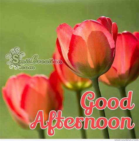 Good Afternoon Flower Pictures and Graphics - SmitCreation.com