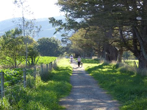 The Greytown Trail Walking New Zealand
