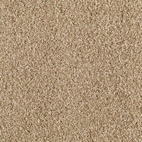 Brown Carpet Texture Seamless Carpet Vidalondon