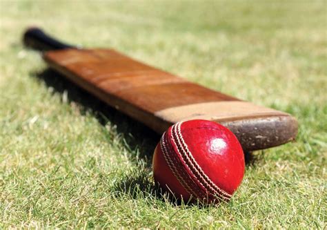 Know The Different Types Of Cricket Bats And How To Choose A Cricket Bat