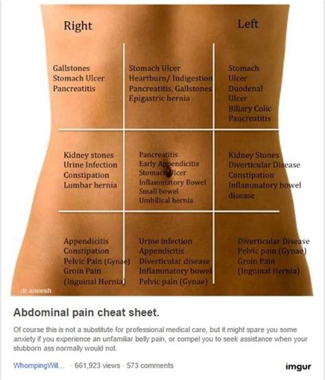 Pain Above The Stomach Is Charted As Occurring In The