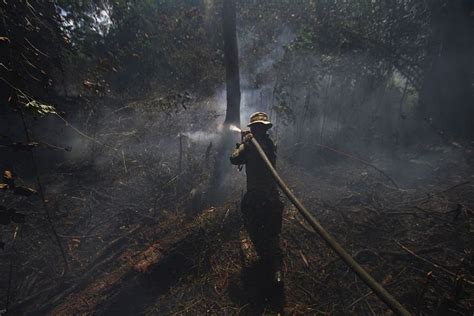 Foto BPPT Klaim Modifikasi Cuaca Tekan Kebakaran Hutan