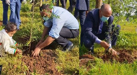 Nation Completes 2nd Green Legacy Program Ahead Of Schedule Ethiopian