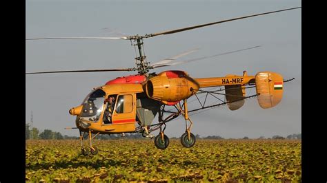 Kamov Ka 26 Spraying Late Sunflower Field Near Öregcsertő Hungary