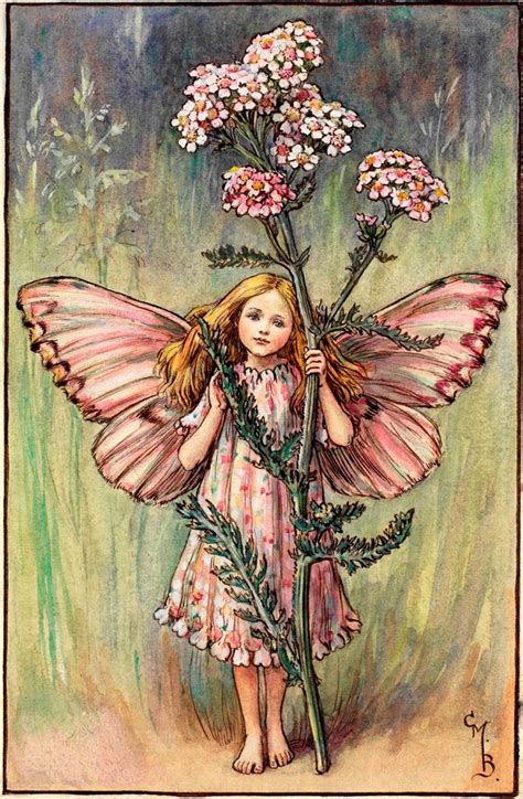 The Yarrow Fairy Flower Fairies