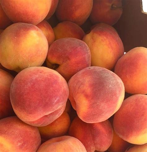 Fresh Local Peaches!