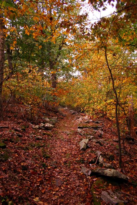 Rocks Path Fall Hiking Trail Forest Foliage Autumn Fall Nature Pictures