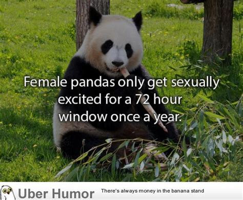 Daily Afternoon Chaos 40 Pictures Funny Pictures Quotes Pics