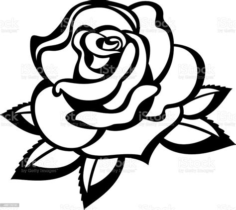 Rose Stock Illustration - Download Image Now - Black And White, Rose