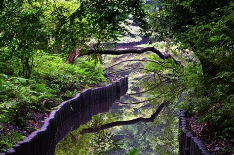Traditionele Japanse Tuinen In Openbare Parken In Tokio Japan Bekeken