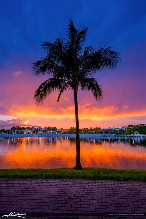 Downtown At The Gardens Explosive Sunset Coconut Tree Hdr Photography