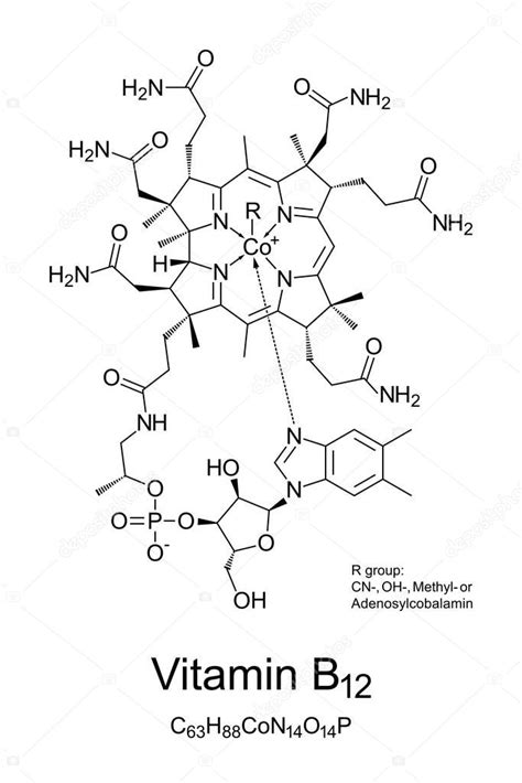 B 12 Ciencia Vitamina B12 Ciano Adn Imagen Vectorial De © Furian