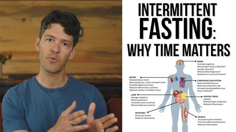 Intermittent Fasting Why Fast Time Is More Important Than Length Youtube