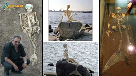 Archaeologists Discovered Mermaid Bones In Iceland Solving The Puzzle