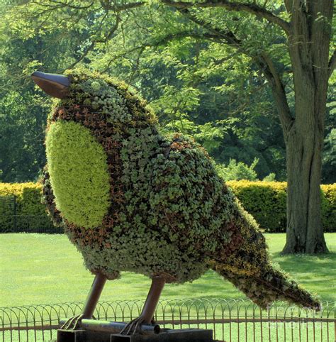 Robin Flower Sculpture Photograph By Ruth Hallam Pixels