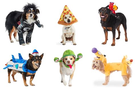 25 Adorable Halloween Costumes For Dogs