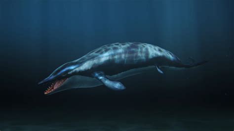 When Whales Walked Journeys In Deep Time Arizona Pbs