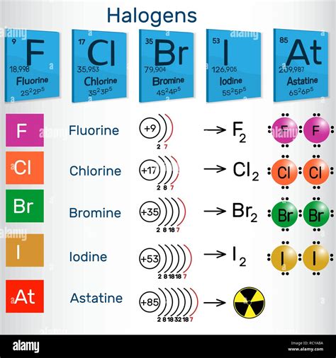 Los Halógenos Los Elementos Químicos De La Tabla Periódica