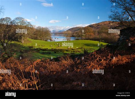 Coniston Water Lake District National Park Cumbria England Europe