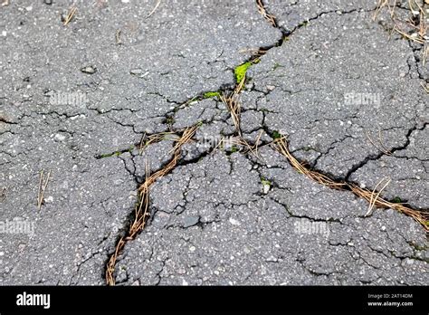 Crack On The Pavement And Green Moss Stock Photo Alamy