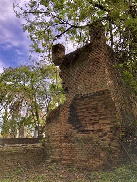 Nature Versus Old Buildings Stock Photo Image Of Tree Yard 265694920