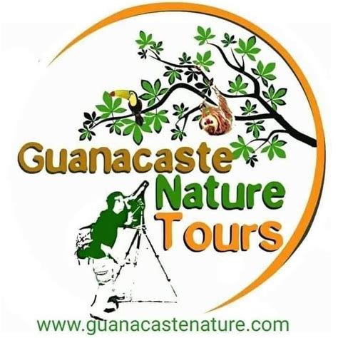 The Guanacaste Guide To Business Real Estate A Comprehensive Vacation Guide And Business