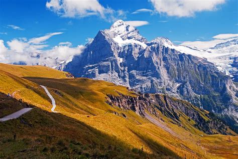 The Swiss Alps Near Grindelwald Switzerland Stunning Switzerland