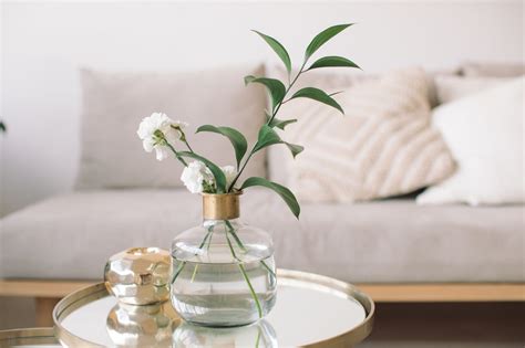 5 Best Flowers For Living Room Decoration Fotolog