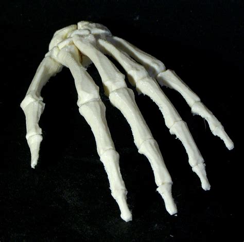 3d Printable Bone Hand Left By Dario Baldi
