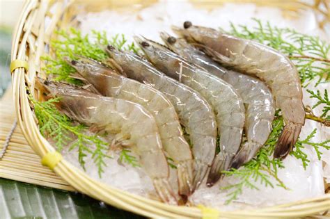 Produce Explained 9 Types Of Prawns For Different Dishes