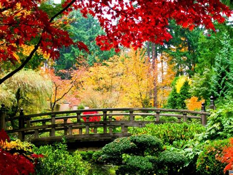 Autumn Nature Bridge Wood Trees Leaves Red Green Yellow