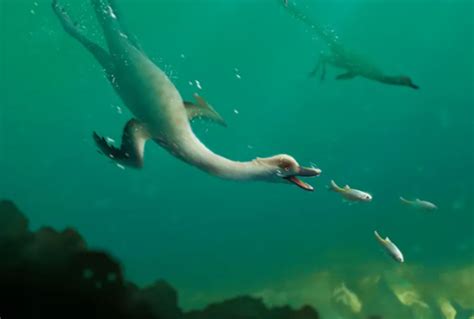 Scientists Say They Discovered Worlds First Swimming Dinosaur