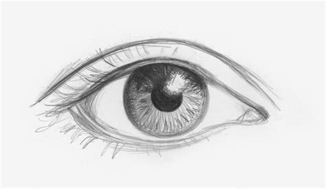 As the light source is coming from. How to Draw Realistic Human Eyes: 7 Steps (with Pictures)
