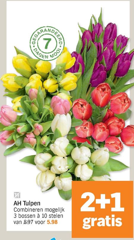 Tulpen Folder Aanbieding Bij Albert Heijn Details
