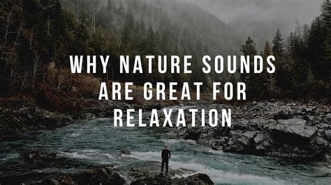 Why Nature Sounds Are Great For Relaxation Youtube