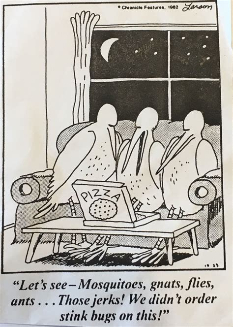 Funny Comic Birds On A Couch