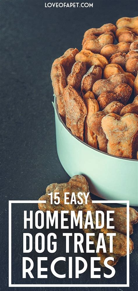 These diabetic dog treats can be stored in a refrigerator or a sealed container. 15 Easy Homemade Dog Treat Recipes | Homemade dog treats ...